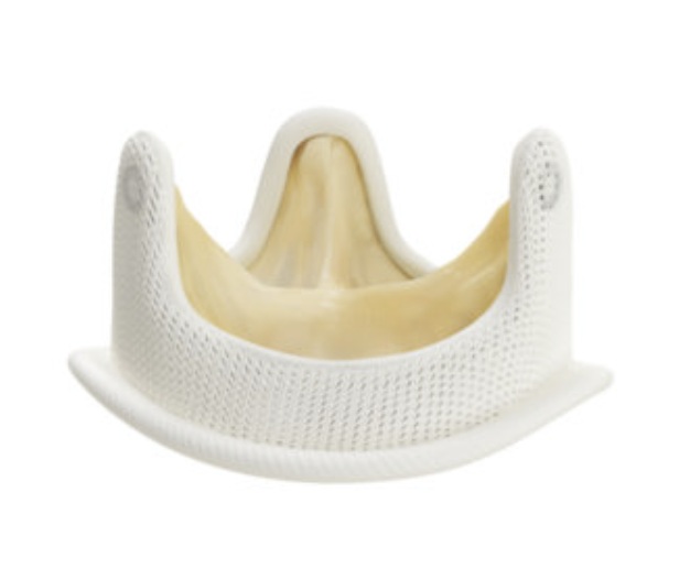 Biyoprotez Mitral Kapak