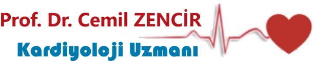 www.cemilzencir.com
